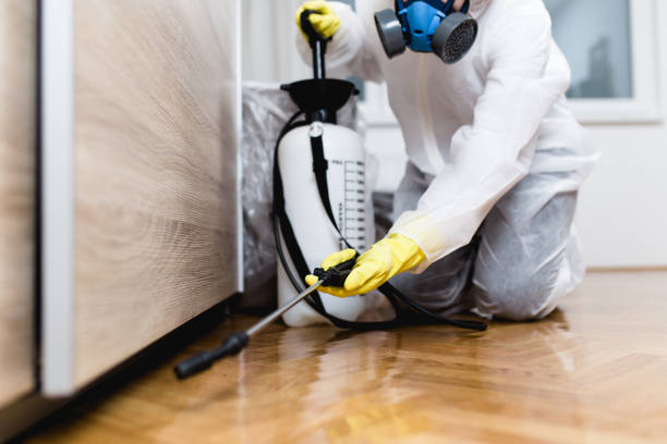 Best Local Pest Control Services  in James City, NC