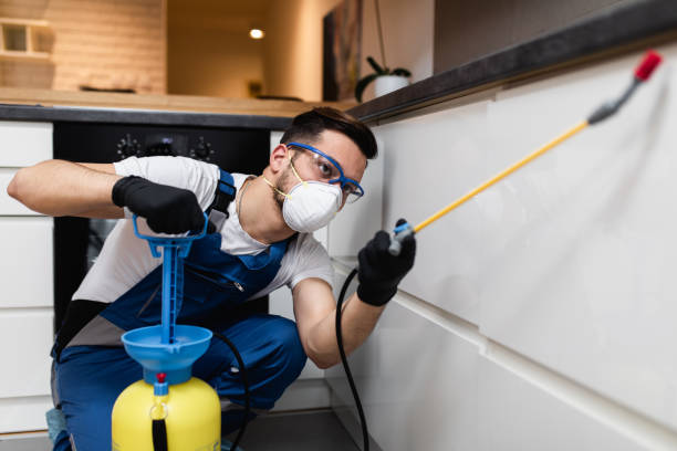 Best Wasp Removal Services  in James City, NC