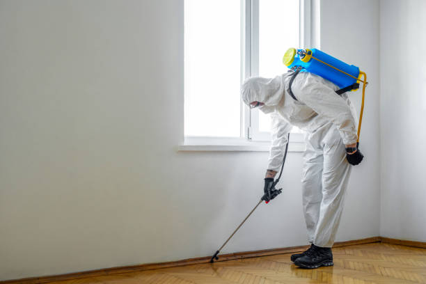 Best Exterminator Services  in James City, NC