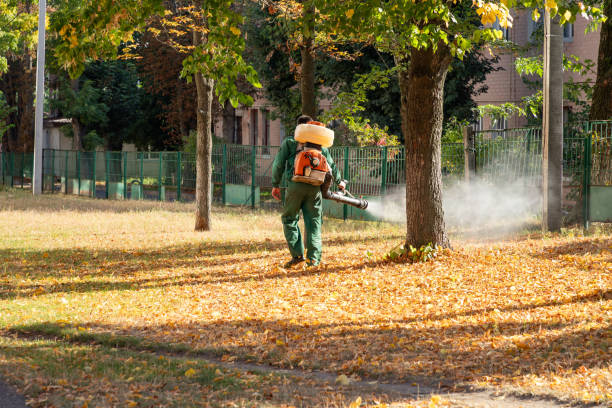 Best Bed Bug Extermination  in James City, NC