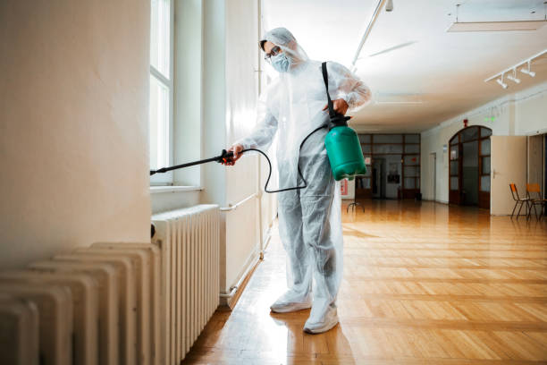 Best Pest Control Near Me  in James City, NC
