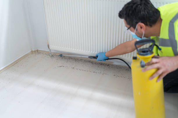 Best Commercial Pest Control Services  in James City, NC