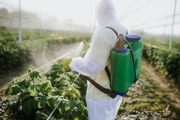 Pest Prevention Services in James City, NC